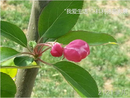长春2121非凡化工科技开发有限公司